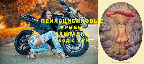 бошки Алзамай