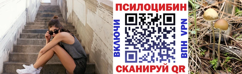 даркнет сайт  Петрозаводск  Галлюциногенные грибы Magic Shrooms 