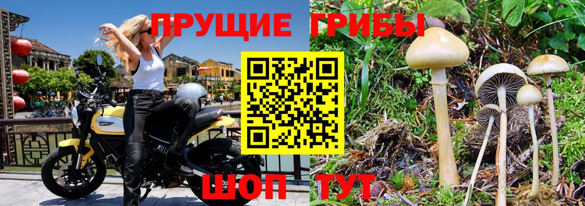 Псилоцибиновые грибы ЛСД Петрозаводск
