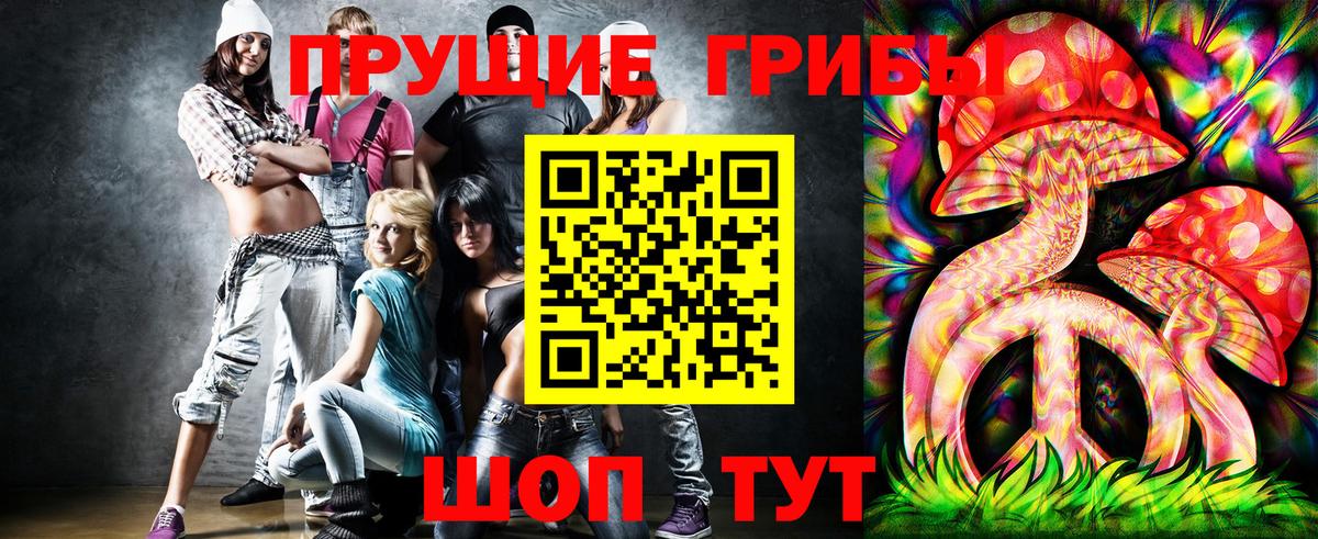 Галлюциногенные грибы Psilocybe  Вход с VPN  Петрозаводск 